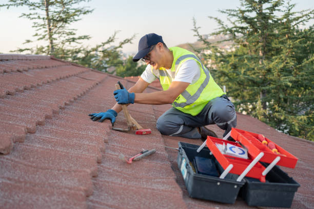 Quick and Trustworthy Emergency Roof Repair Services in Balm, FL